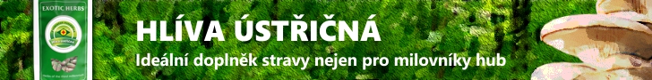 guaranaplus-hliva