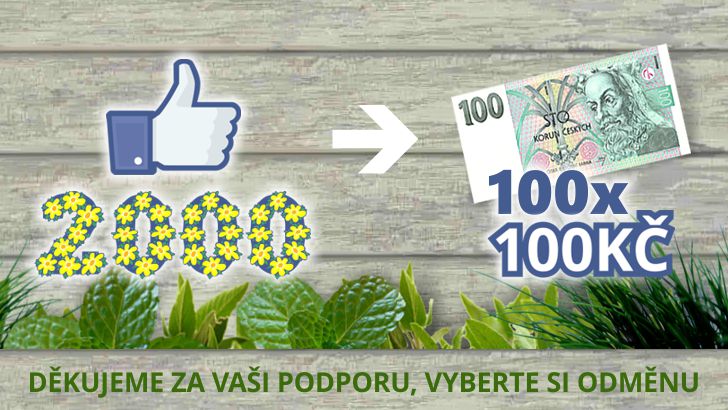 facebook-2000-fans